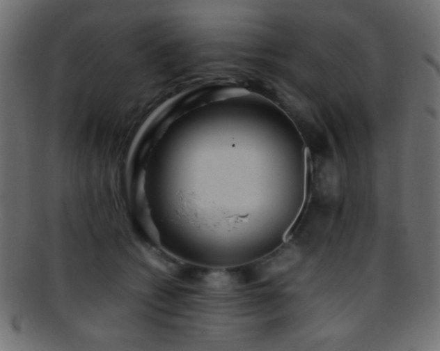 X0000095690562200801081250