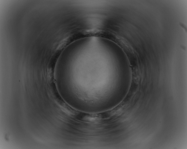 X0000095690563200801081250