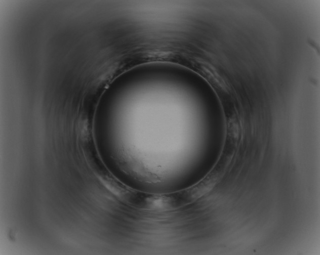 X0000095690564200801081250