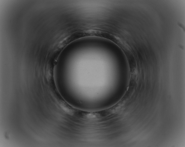 X0000095690566200801081250