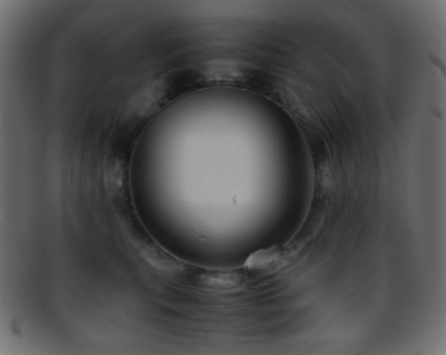 X0000095690567200801081250