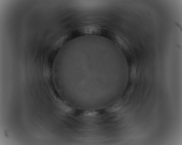 X0000095690569200801081250