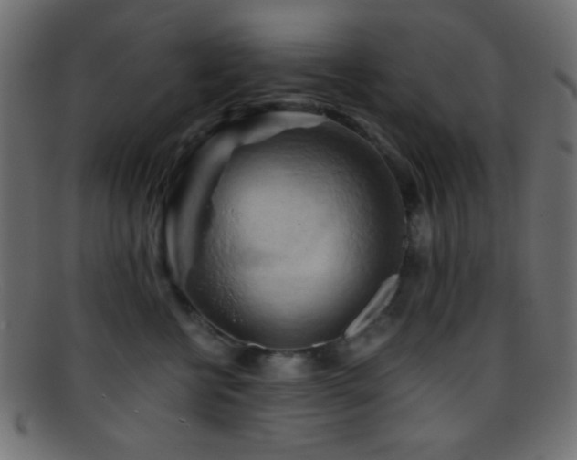 X0000095690570200801081250