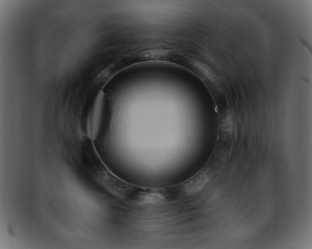 X0000095690572200801081250