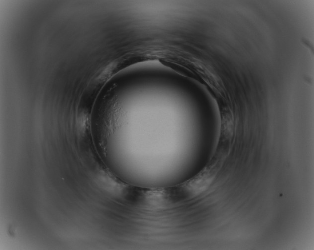 X0000095690574200801081250