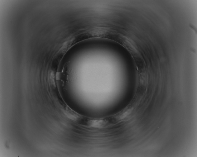X0000095690575200801081250