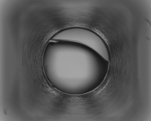 X0000095690577200801081250