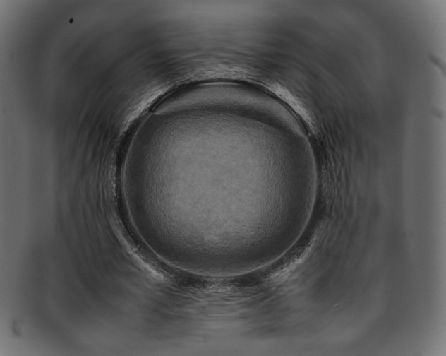 X0000095690581200801081250