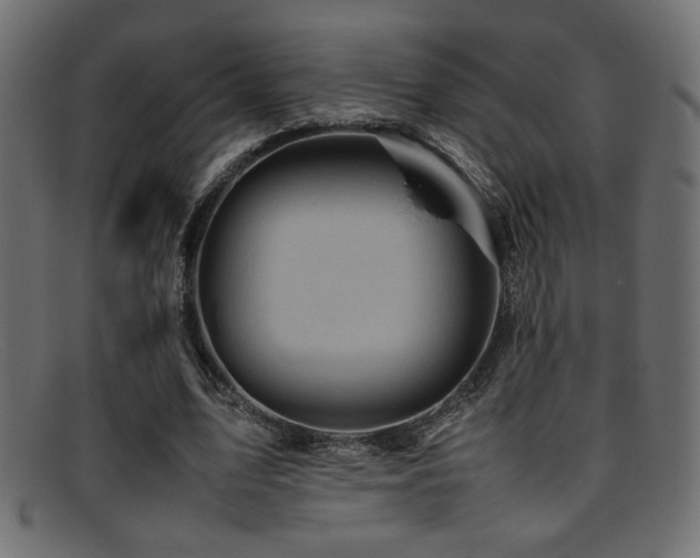 X0000095690583200801081250