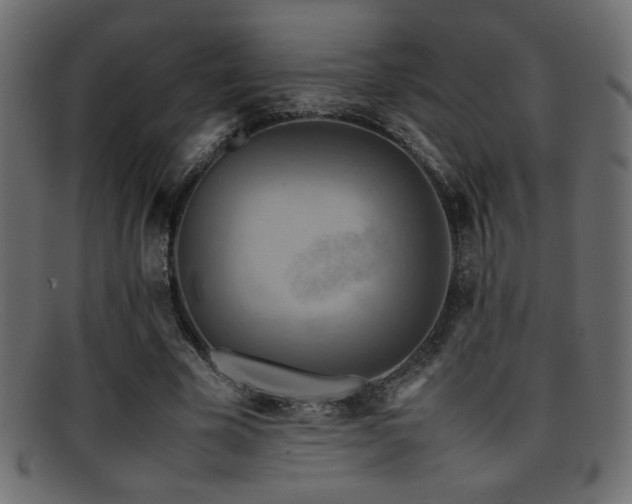 X0000095690585200801081250