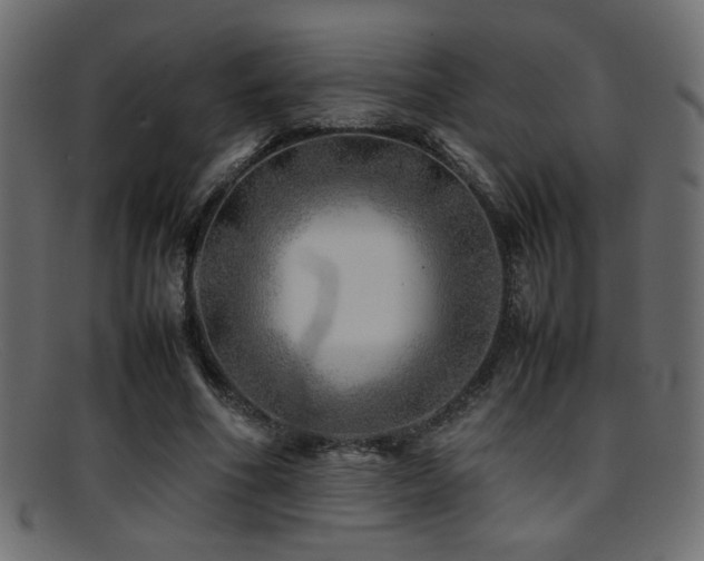 X0000095690586200801081250