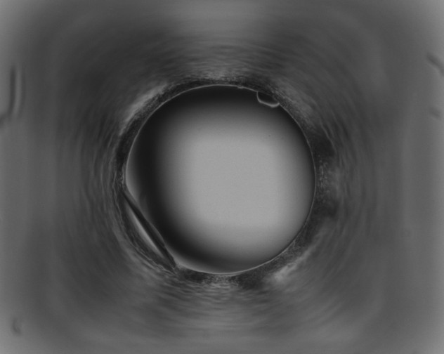 X0000095690587200801081250