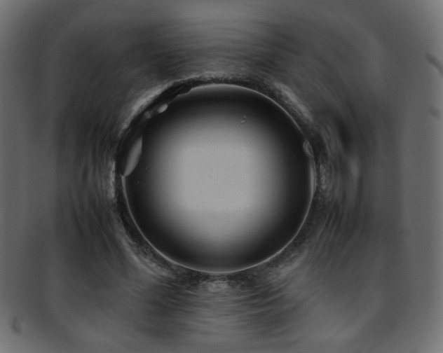 X0000095690588200801081250