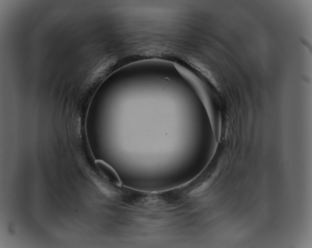 X0000095690589200801081250