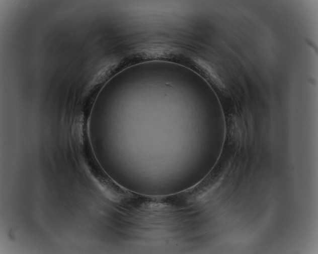X0000095690590200801081250
