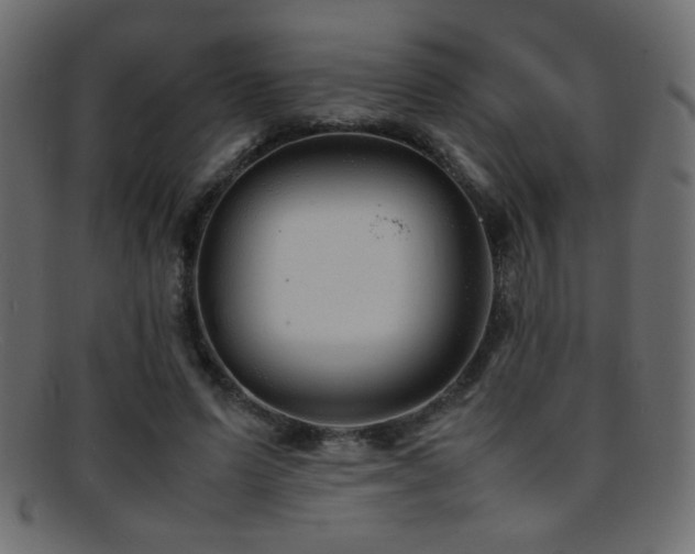 X0000095690591200801081250