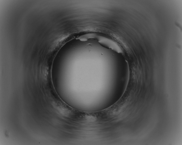 X0000095690592200801081250
