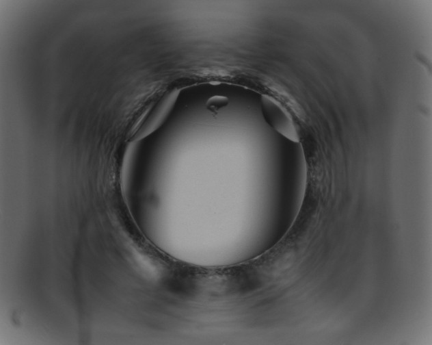 X0000095690593200801081250