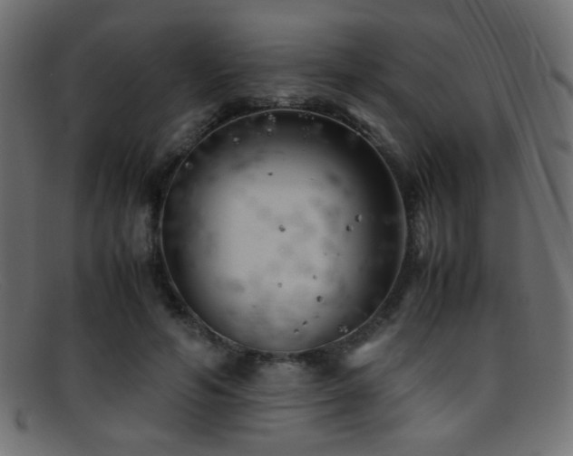 X0000095690594200801081250