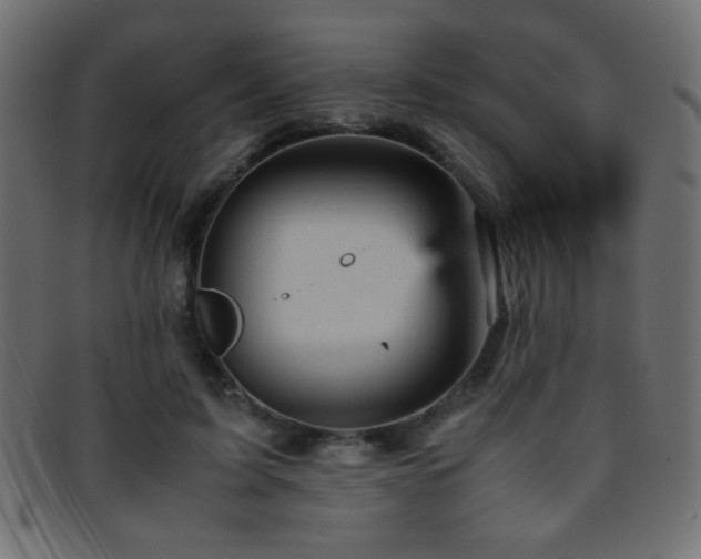 X0000095690595200801081250