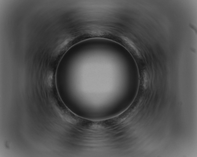 X0000095690596200801081250