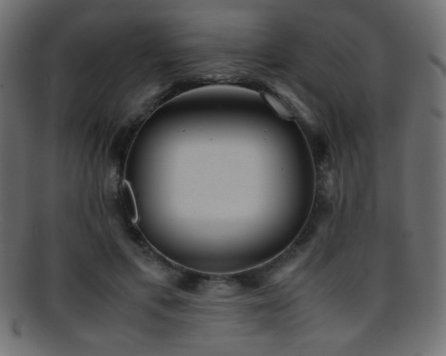 X0000095690597200801081250