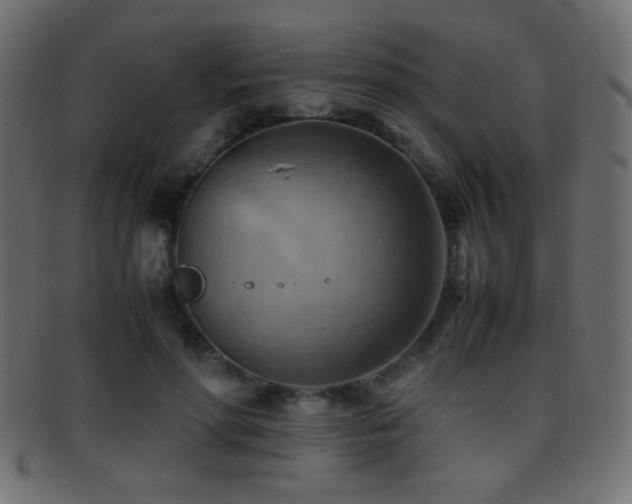 X0000095690598200801081250