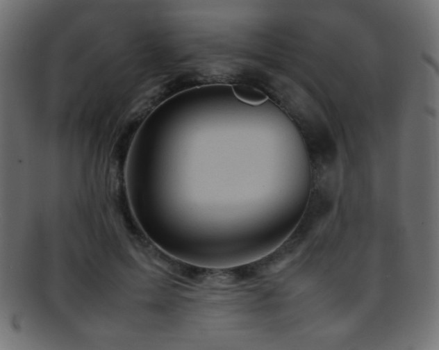 X0000095690599200801081250