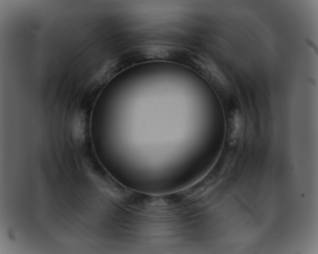 X0000095690600200801081250