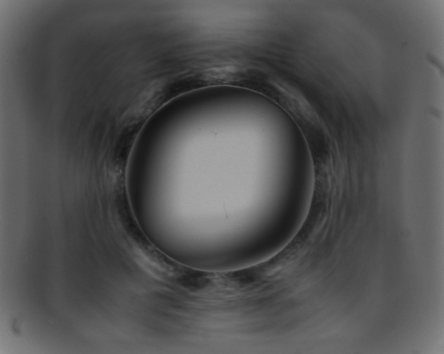 X0000095690601200801081250