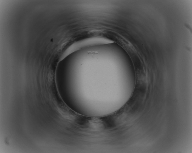 X0000095690603200801081250
