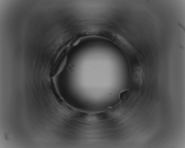 X0000095690604200801081249