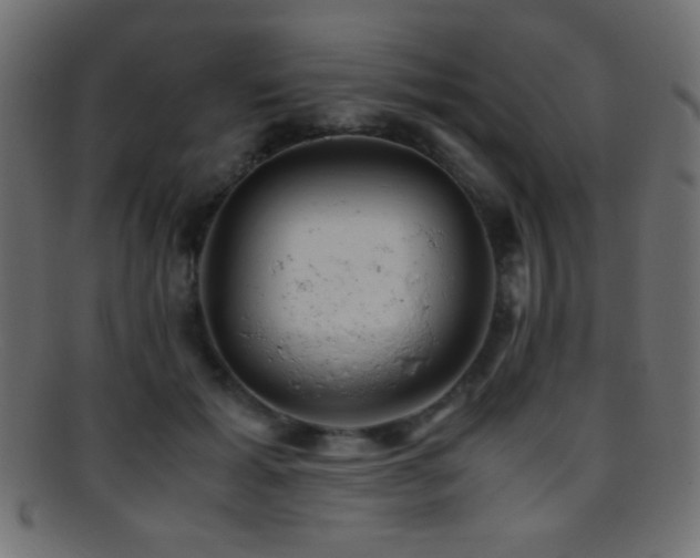 X0000095690605200801081249