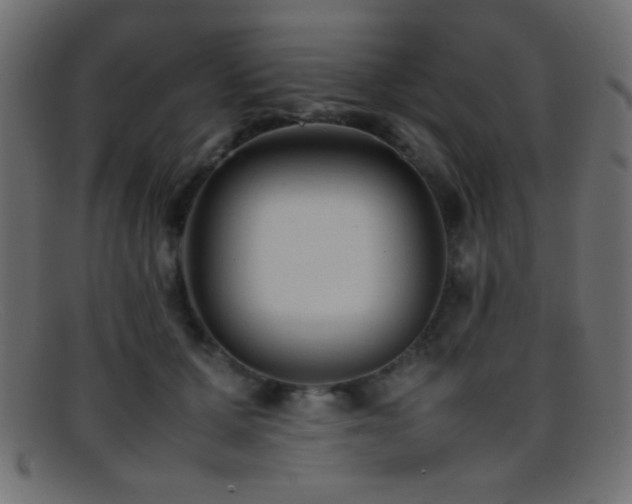 X0000095690607200801081249