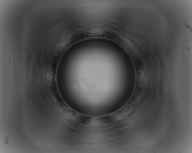 X0000095690608200801081249