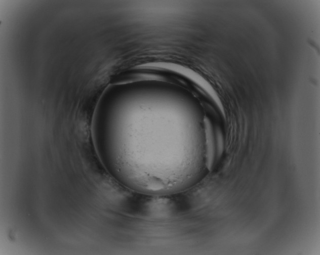X0000095690609200801081249
