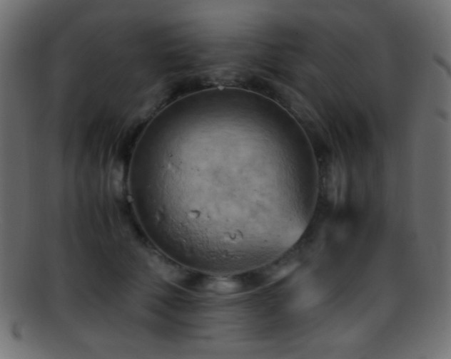 X0000095690610200801081249