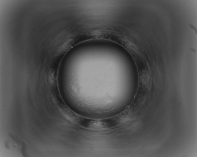 X0000095690611200801081249