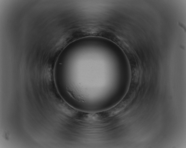X0000095690612200801081249