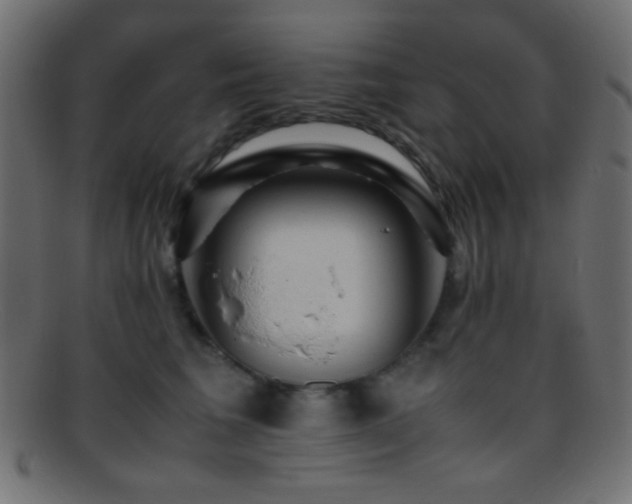 X0000095690613200801081249