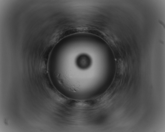 X0000095690614200801081249