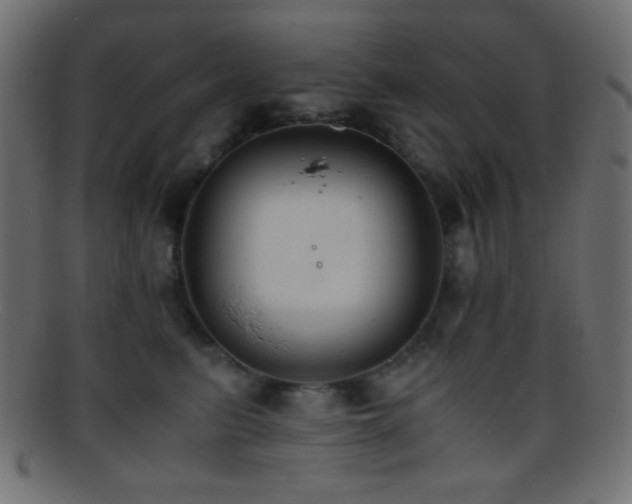 X0000095690615200801081249