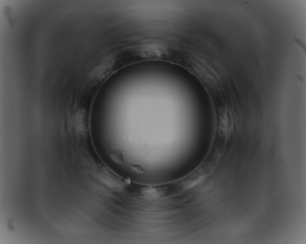 X0000095690616200801081249