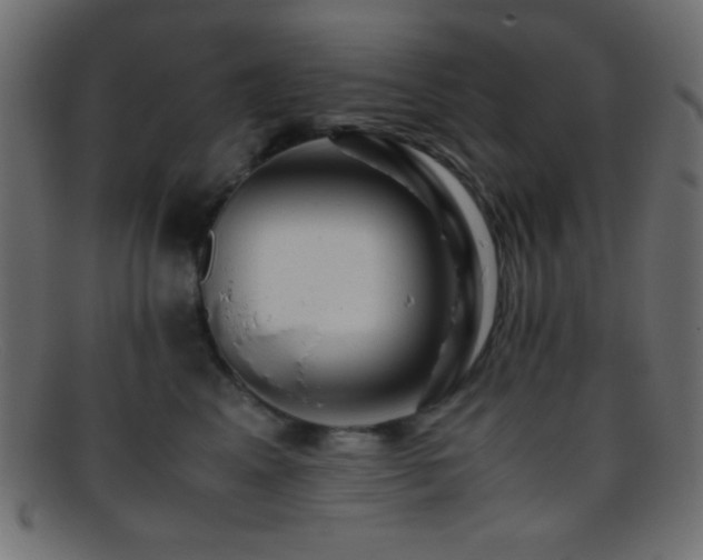 X0000095690617200801081249