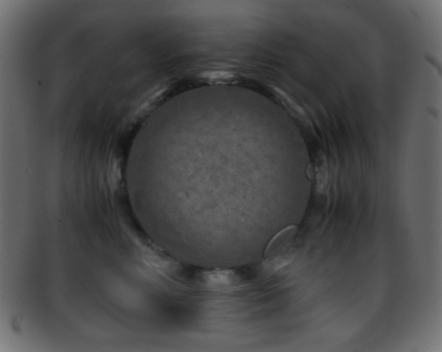 X0000095690618200801081249