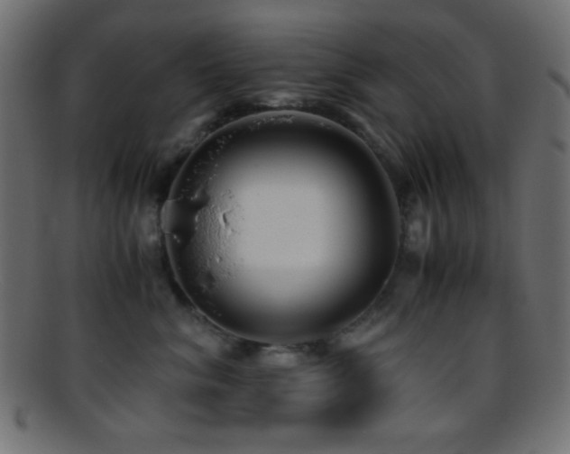 X0000095690620200801081249