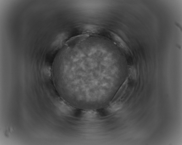 X0000095690621200801081249