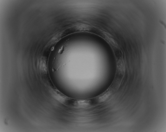 X0000095690622200801081249