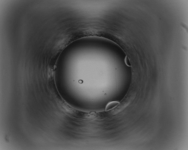 X0000095690624200801081249