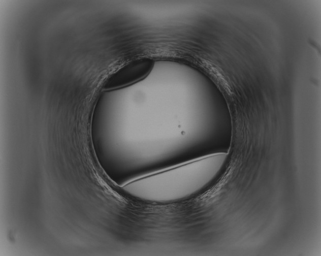 X0000095690625200801081249